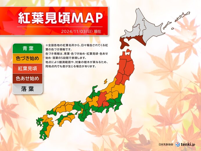 今日3日は天気回復で紅葉狩り日和　連休最終日の明日も広くお出かけ日和