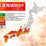 今日23日は西～東日本は紅葉狩り日和　強い北風対策は忘れずに