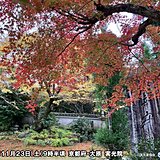 明日24日　西日本・東日本は紅葉狩り日和　強風は収まるも師走並みの寒さ　対策を