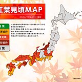 紅葉の見頃スポットは? 　今日24日は太平洋側ほど紅葉狩り日和　寒さ対策は万全に