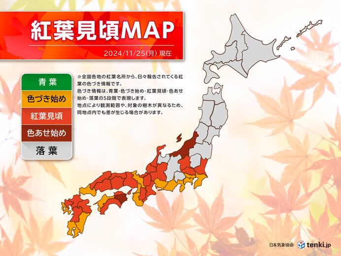 九州から関東　紅葉狩り日和