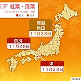 東北～近畿で続々とカエデ紅葉・イチョウ黄葉　今週末(30日～1日)の紅葉狩りは?