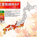 関東南部～九州で紅葉が見頃　29日～1日は太平洋側で紅葉狩り日和　寒さ対策を