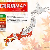 関東～九州で紅葉の見頃シーズン　30日と1日は太平洋側ほど晴れるが一部で雨