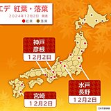 関東～九州　カエデ紅葉・イチョウ黄葉が次々と　水戸・長野・彦根は観測史上最も遅い