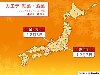 今日3日　東京・金沢でイロハカエデの紅葉　東京・甲府は過去最晩でイチョウの黄葉も