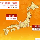 今日3日　東京・金沢でイロハカエデの紅葉　東京・甲府は過去最晩でイチョウの黄葉も