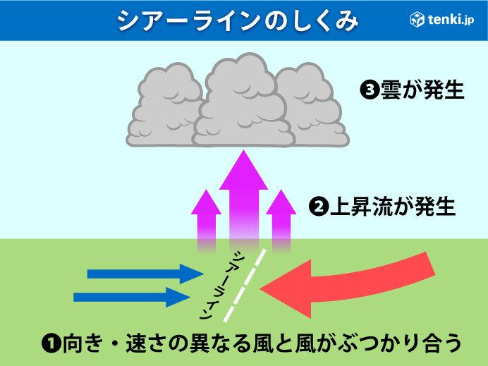 シアーラインとは