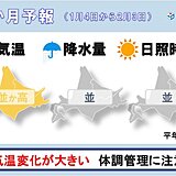 1月の北海道は気温の変動大に　体調管理や路面状態　落雪などに注意　1か月予報