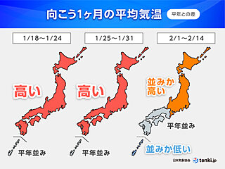 この冬、今が寒さの底か　広い範囲で高温傾向　花粉の飛散シーズンも迫る　1か月予報