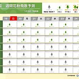 東京都で異例の早さの花粉シーズン　本格飛散はいつ?　来週は3月並みの陽気も