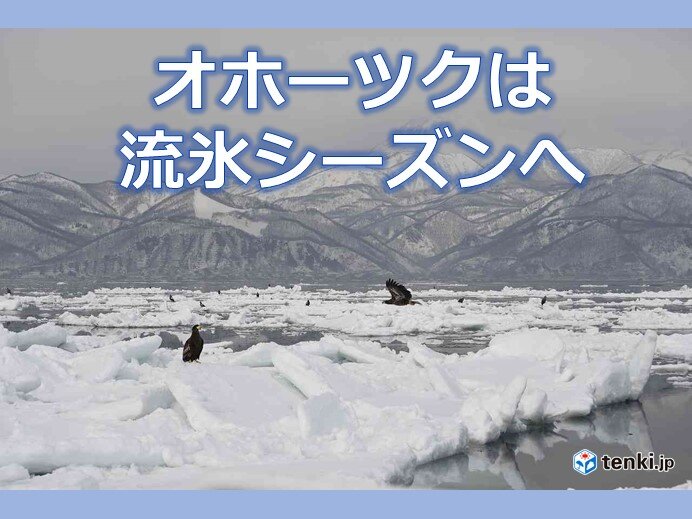 2月　冬型の気圧配置は弱い　本格的な流氷シーズンへ