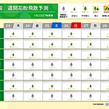 東京や静岡などでスギ花粉が飛散　2月は本格的な飛散に　花粉が飛びやすい条件とは?