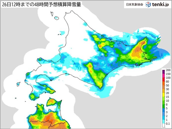 北海道の太平洋側で本降りの雪　十勝など今季一番の積雪　着雪による停電などに注意