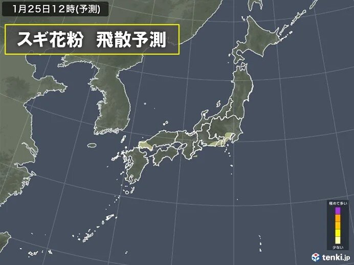 関東から九州は広く晴れ　花粉に注意