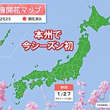 静岡で梅が開花　本州で1月下旬に初めての開花は12季ぶりの遅さ　スギ花粉の対策も