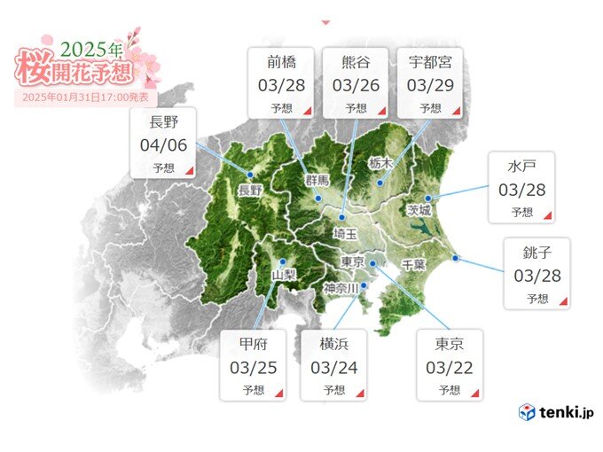 3月は一気に春へ　関東の桜は3月下旬に一斉開花