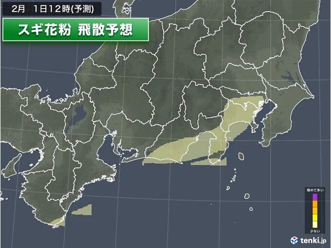 東京や神奈川、静岡ではスギ花粉が飛散の見込み