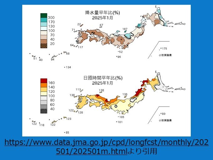 1月の概況