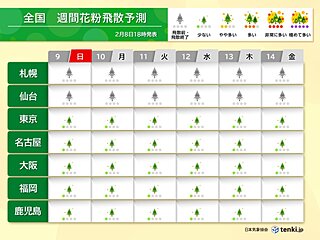 スギ花粉　関東～九州はまだ「少ない」　2月下旬から東京や福岡などで飛散のピークに