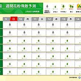 スギ花粉　関東～九州はまだ「少ない」　2月下旬から東京や福岡などで飛散のピークに