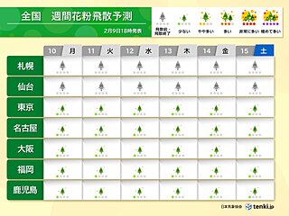 スギ花粉　今日10日も「少ない」予想　量は僅かでも　花粉症の方は念のため対策を