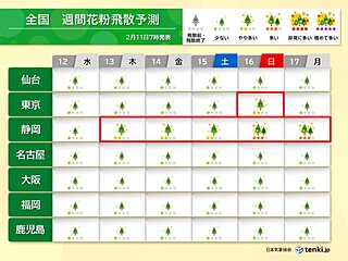 スギ花粉　今週は気温上昇で飛散量が増える　2月下旬から東京や福岡でピークに