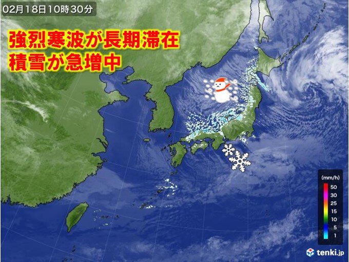 強烈寒波が襲来　半日で40センチの降雪も