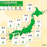 スギ花粉　3連休明けから飛散が急増　3月上旬から広くピークに　例年より多い飛散