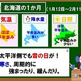 北海道の1か月　太平洋側でもたびたび雪に