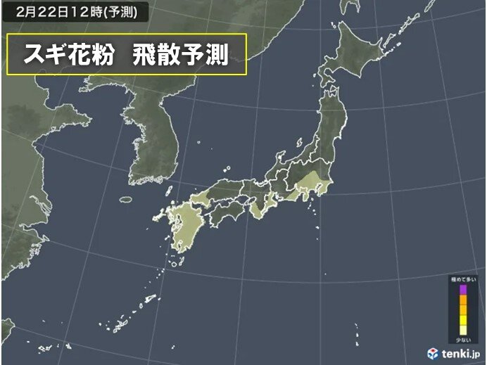 スギ花粉　3連休明けから本格飛散へ　27日以降は福岡や東京で「多い」