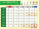 3連休明けはスギ花粉が徐々に本格化　3月に入ると爆発的に増加の見込み