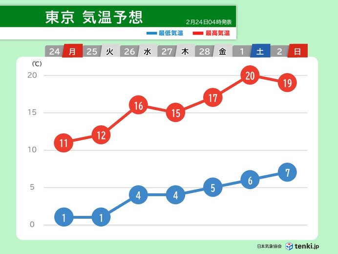 杉の花粉 ④ 楽天市場】【メーカー直送】レギュラー500mlタイプスギ花粉 花粉