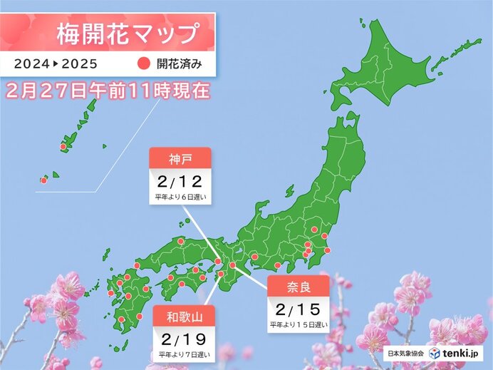 近畿の梅の開花は各地で遅め