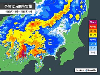 明日4日夜～5日　再び関東で大雪のおそれ　6日以降は花粉の大量飛散に注意