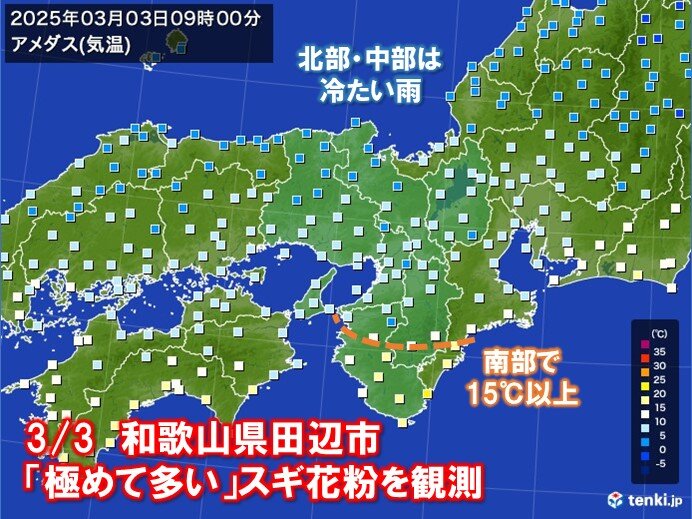 3月3日(月)に和歌山県田辺市で「極めて多い」花粉を観測