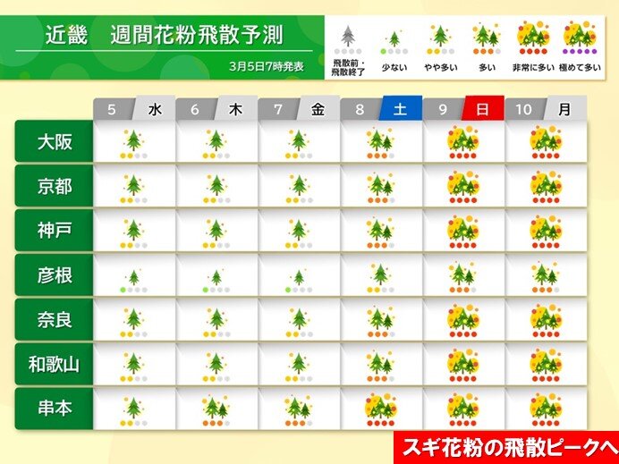 スギ花粉の飛散ピークへ　9日(日)から大阪市で「非常に多い」予想　外出時の対策は