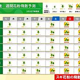 スギ花粉の飛散ピークへ　9日(日)から大阪市で「非常に多い」予想　外出時の対策は