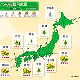 スギ花粉　今日6日は関東から九州の広範囲で飛散量増加　対策を万全に