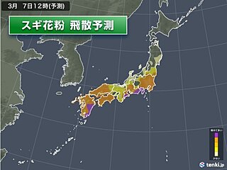 スギ花粉がピーク　7日も関東から九州は大量に飛散　万全な対策を