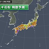 スギ花粉がピーク　7日も関東から九州は大量に飛散　万全な対策を