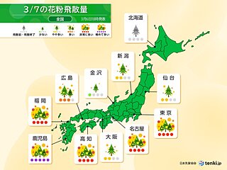 7日の花粉飛散情報　スギ花粉ピーク続く　「極めて多い」所も　大量飛散に注意