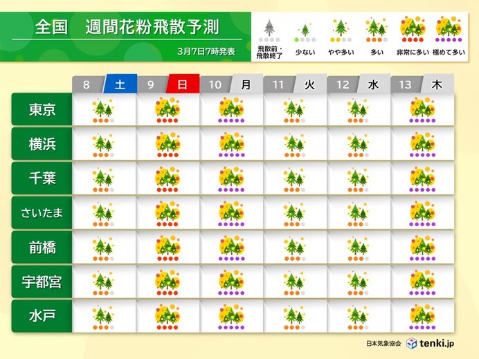 花粉が大量飛散　万全な対策を