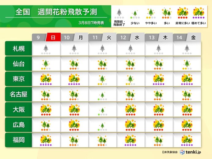 スギ花粉がピーク　大量飛散の日が多い