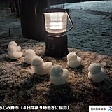 関東はこの先もまだ雪が降る?　2025年3月は雪が多い　厳しい寒さが戻る日は