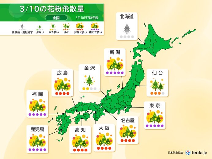 10日も関東～九州は花粉が大量飛散　スギに交じってヒノキも　万全な対策を