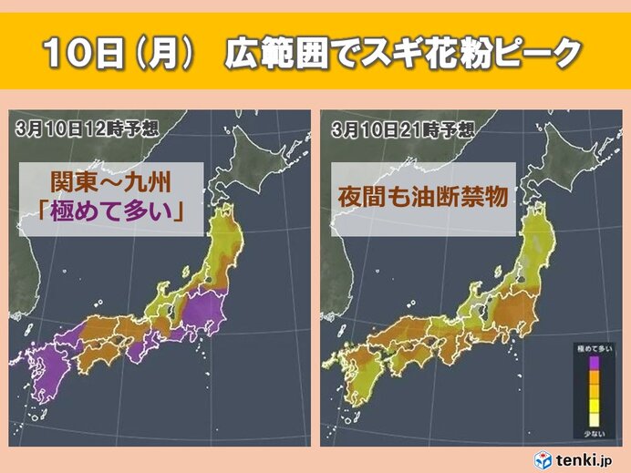 スギ花粉　10日(月)午後も関東～九州などで「極めて多い」予想　広範囲でピークに