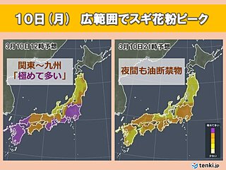 スギ花粉　10日(月)午後も関東～九州などで「極めて多い」予想　広範囲でピークに