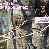 11日(火)～13日(木)の近畿は傘の出番　桜の開花をうながす雨　20℃予想も