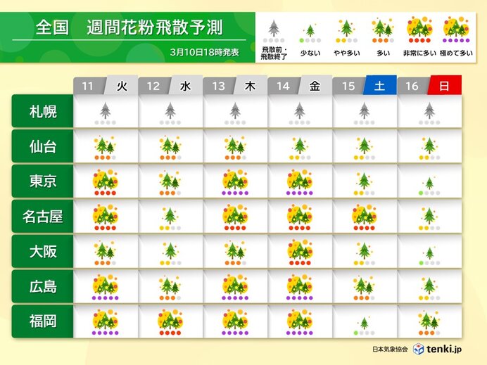 スギ花粉ピーク　11日は曇りや雨でも対策を　13日と14日は東京などで大量飛散